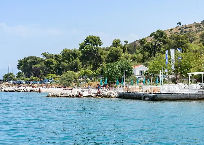 Апартаменты & Zaja *